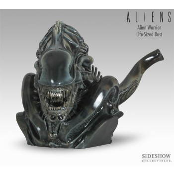 SIDESHOW Alien Warrior 1:1 Life-Size Bust